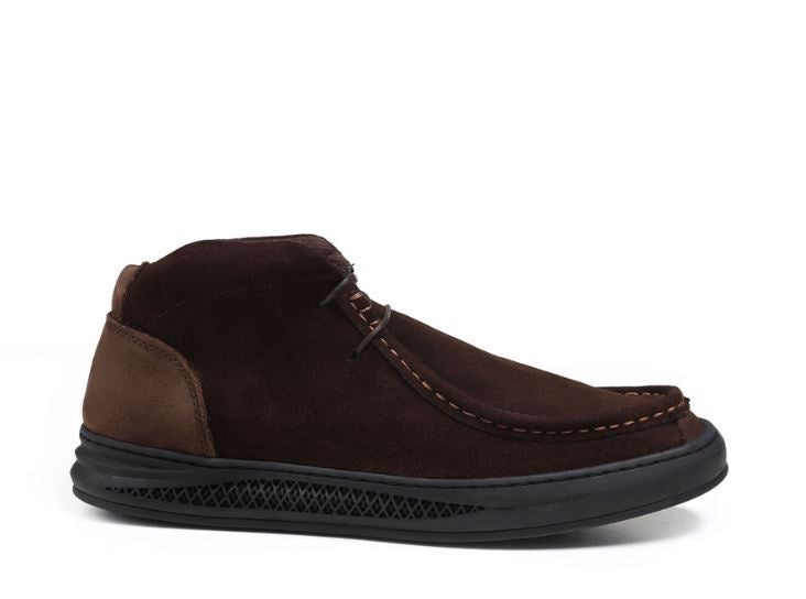 Letheria Urban Moc