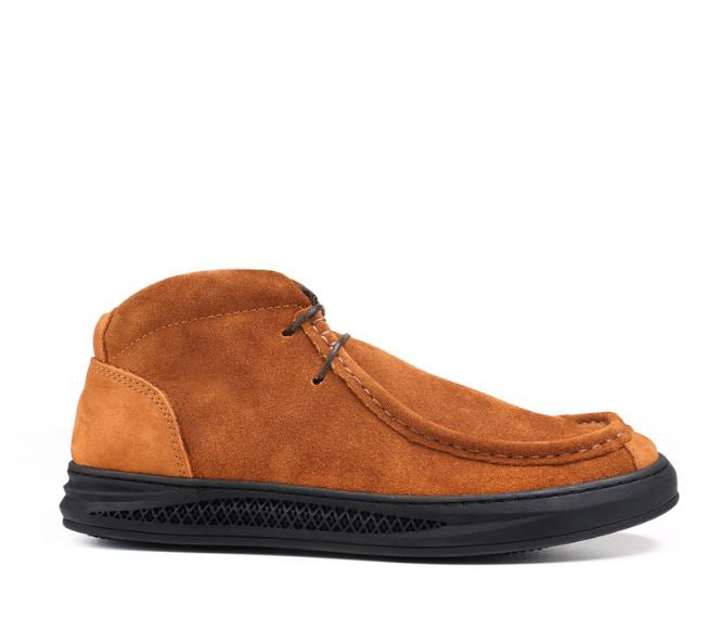 Letheria Urban Moc